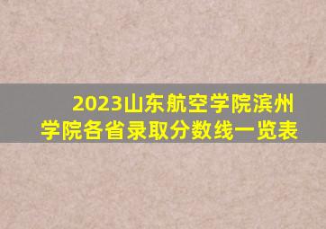 2023山东航空学院(滨州学院)各省录取分数线一览表