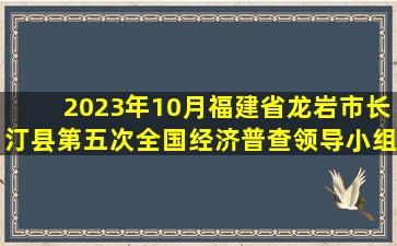 2023年10月福建省龙岩市长汀县第五次全国经济普查领导小组办公室...