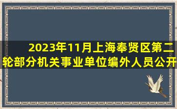 2023年11月上海奉贤区第二轮部分机关事业单位编外人员公开招聘29...