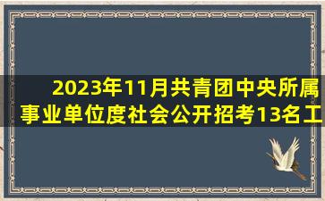 2023年11月共青团中央所属事业单位度社会公开招考13名工作人员...