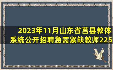 2023年11月山东省莒县教体系统公开招聘急需紧缺教师225笔试历年...