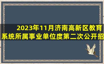 2023年11月济南高新区教育系统所属事业单位度第二次公开招聘4名...