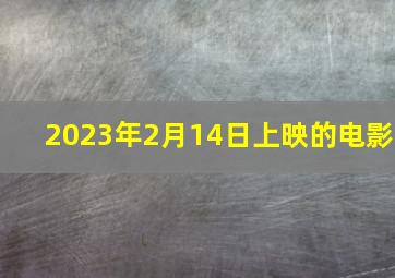 2023年2月14日上映的电影