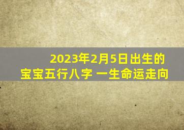 2023年2月5日出生的宝宝五行八字 一生命运走向