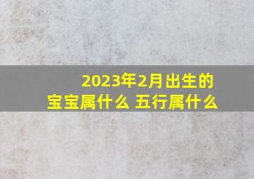 2023年2月出生的宝宝属什么 五行属什么