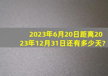 2023年6月20日距离2023年12月31日还有多少天?