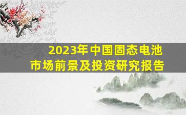 2023年中国固态电池市场前景及投资研究报告