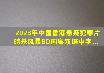 2023年中国香港悬疑犯罪片《暗杀风暴》BD国粤双语中字...