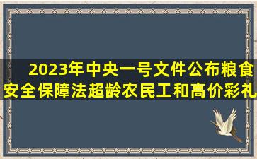 2023年中央一号文件公布,粮食安全保障法、超龄农民工和高价彩礼都...