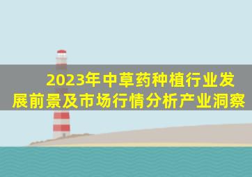 2023年中草药种植行业发展前景及市场行情分析产业洞察