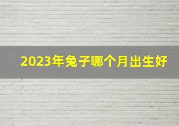 2023年兔子哪个月出生好