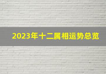 2023年十二属相运势总览