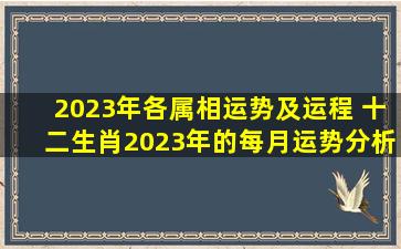 2023年各属相运势及运程 十二生肖2023年的每月运势分析发展