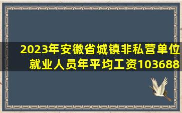 2023年安徽省城镇非私营单位就业人员年平均工资103688元