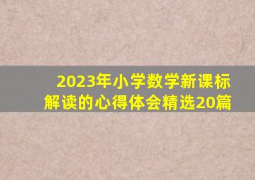 2023年小学数学新课标解读的心得体会(精选20篇)