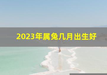 2023年属兔几月出生好