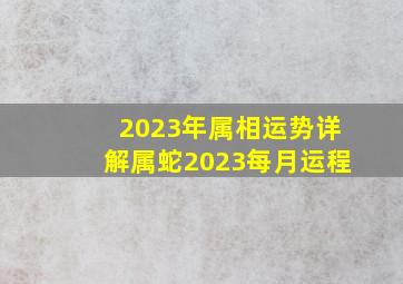 2023年属相运势详解属蛇2023每月运程