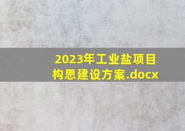 2023年工业盐项目构思建设方案.docx