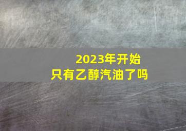 2023年开始只有乙醇汽油了吗