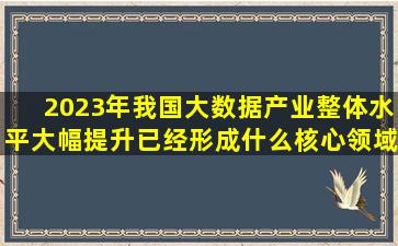 2023年我国大数据产业整体水平大幅提升已经形成什么核心领域