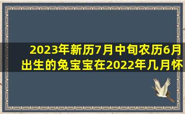 2023年新历7月中旬,农历6月出生的兔宝宝,在2022年几月怀孕好?