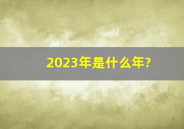 2023年是什么年?