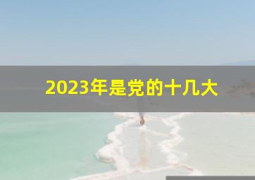 2023年是党的十几大 