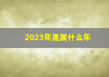 2023年是属什么年