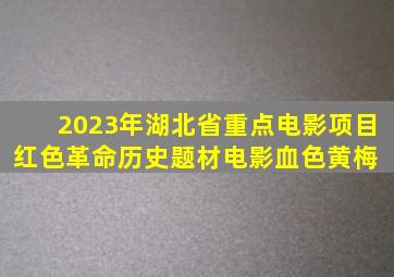 2023年湖北省重点电影项目,红色革命历史题材电影《血色黄梅 