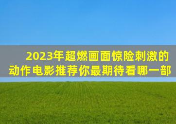 2023年超燃画面惊险刺激的动作电影推荐你最期待看哪一部