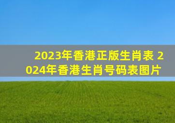 2023年香港正版生肖表 2024年香港生肖号码表图片 
