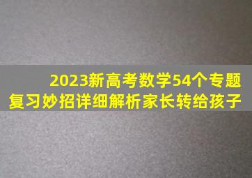 2023新高考数学54个专题复习妙招(详细解析)家长转给孩子 