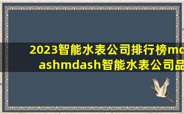 2023智能水表公司排行榜——智能水表公司品牌前十名