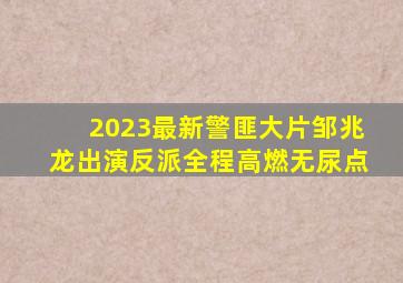 2023最新警匪大片,邹兆龙出演反派,全程高燃无尿点