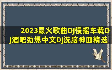 2023最火歌曲DJ慢摇车载DJ酒吧劲爆中文DJ洗脑神曲精选集