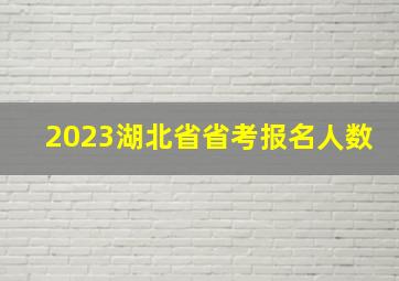 2023湖北省省考报名人数