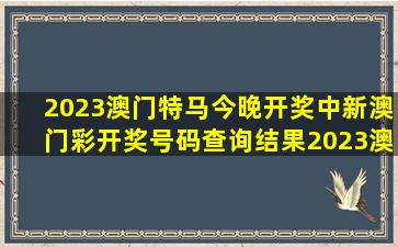 2023澳门特马今晚开奖中,新澳门彩开奖号码查询结果,2023澳门六...