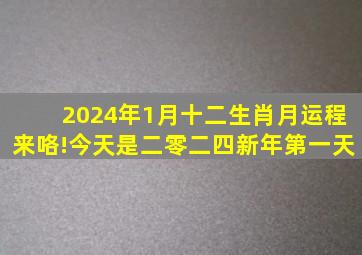 2024年1月十二生肖月运程来咯!今天是二零二四新年第一天