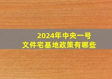 2024年中央一号文件宅基地政策有哪些