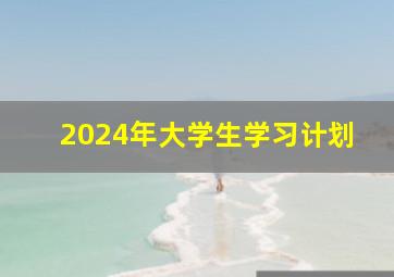 2024年大学生学习计划