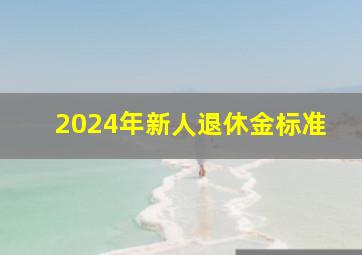 2024年新人退休金标准