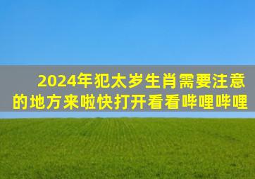 2024年犯太岁生肖需要注意的地方来啦,快打开看看哔哩哔哩