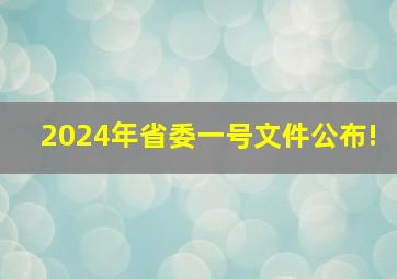 2024年省委一号文件公布!