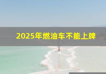 2025年燃油车不能上牌