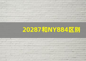 20287和NY884区别
