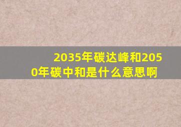 2035年碳达峰和2050年碳中和是什么意思啊 