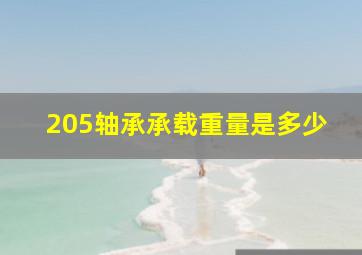 205轴承承载重量是多少(