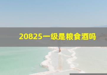 20825一级是粮食酒吗