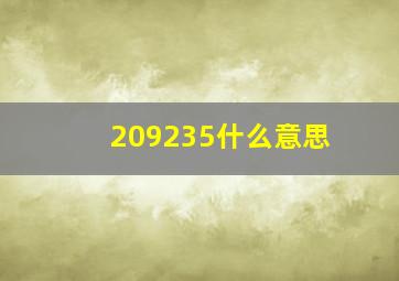 209235什么意思(