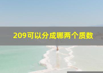 209可以分成哪两个质数